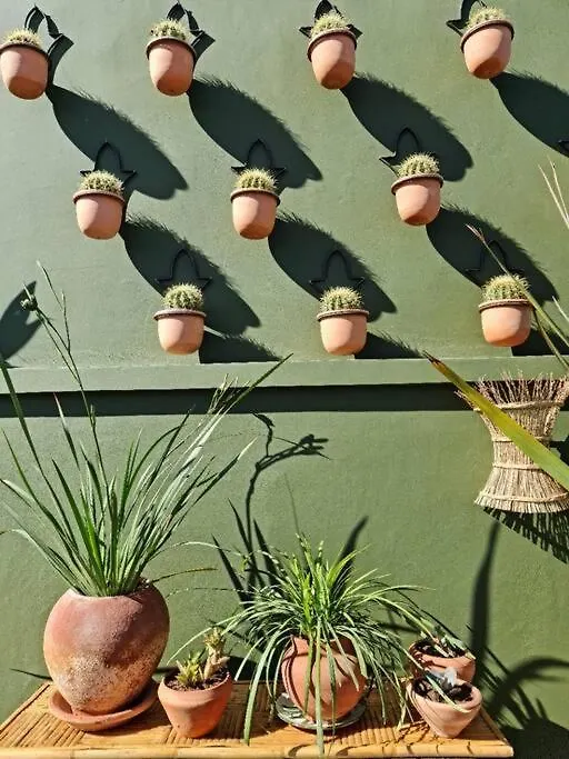 Hotel Riad Olive Privatif 4 Personnes Marakéš Maroko