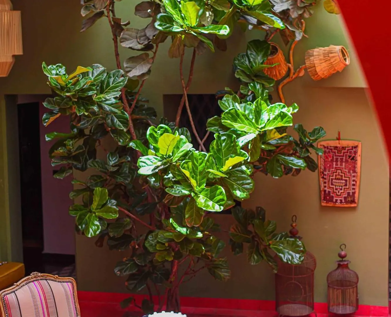 Riad Olive Privatif 4 Personnes Hotel Marrakesh