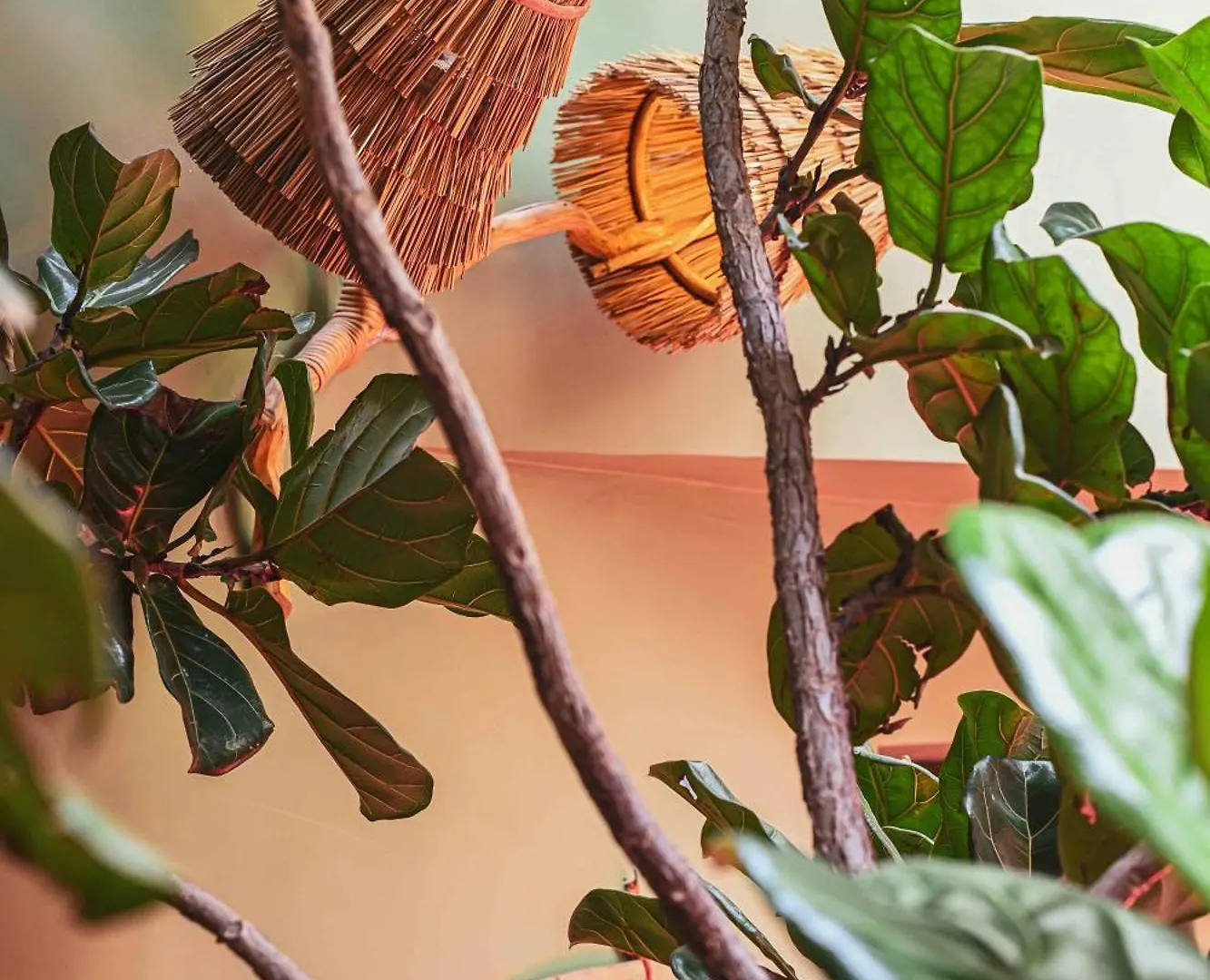 Riad Olive Privatif 4 Personnes Hotel Marrakesh Marokko